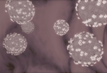 RUSSIA’S PLAGUE LAB MYSTERY — WHAT REALLY HAPPENED
